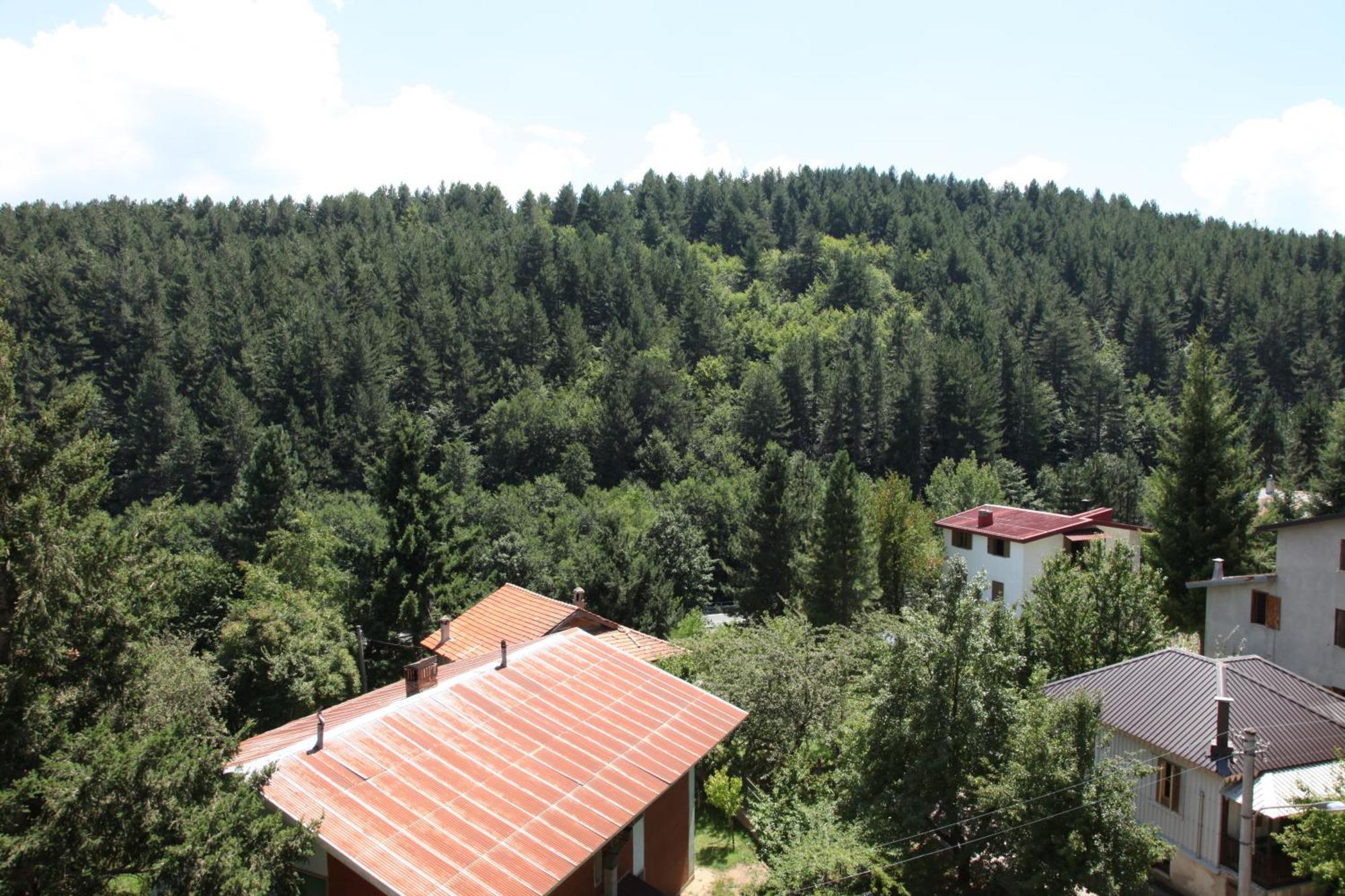 Hotel Tasso Camigliatello Silano Esterno foto